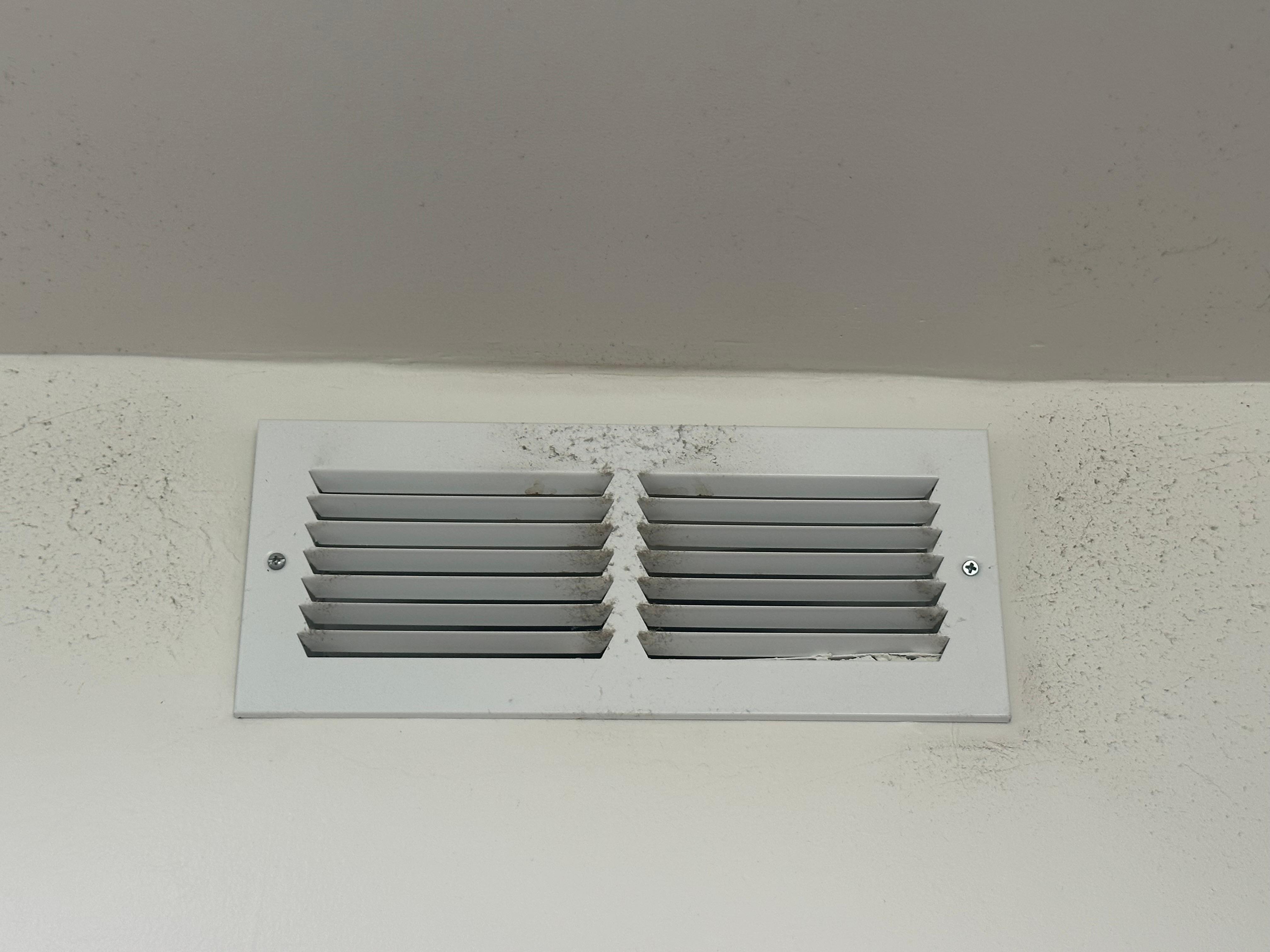 Is this mold? 