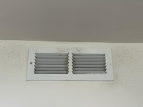 Is this mold?