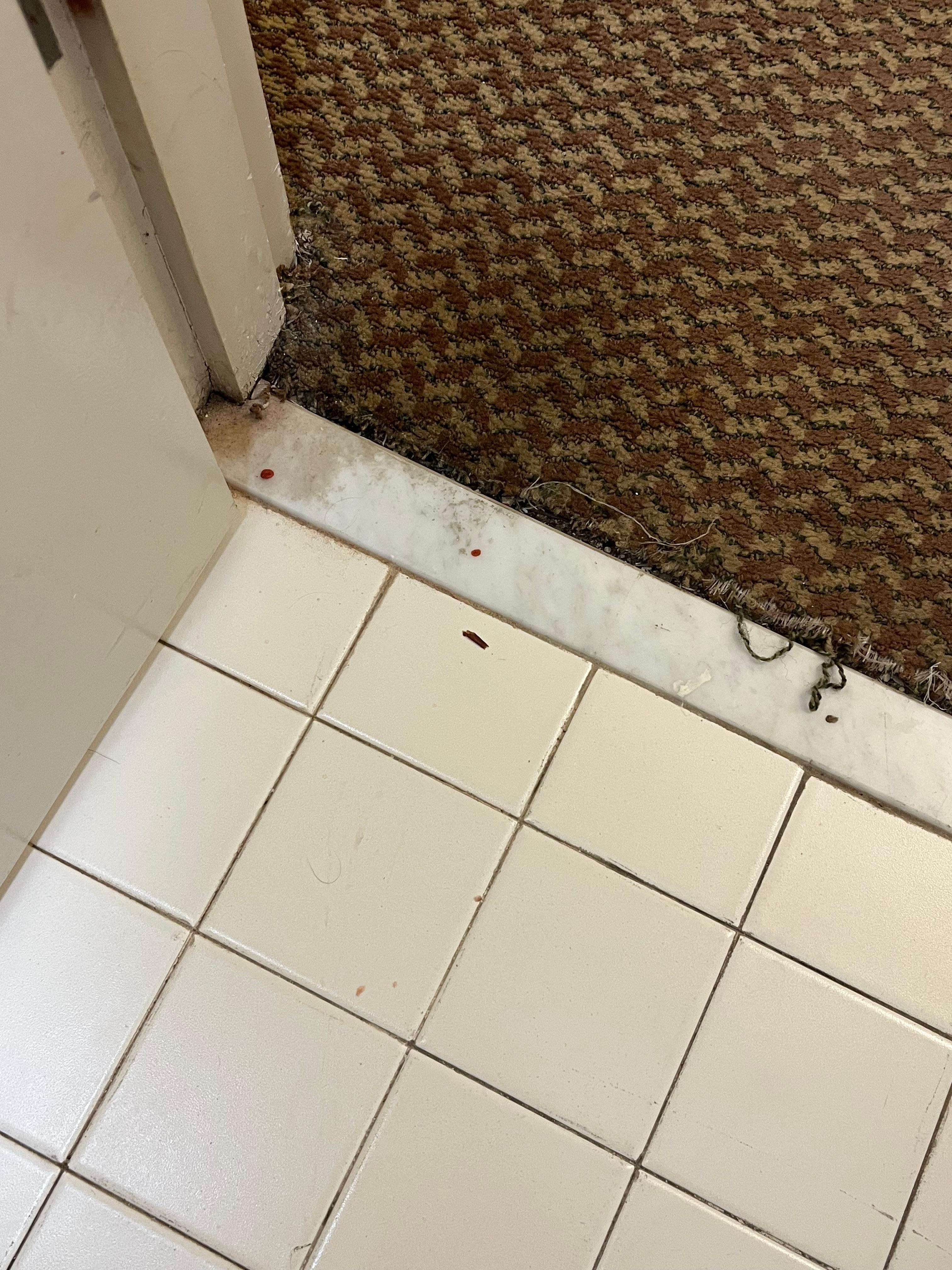 Red stains on the tiles and carpet is dirty. 