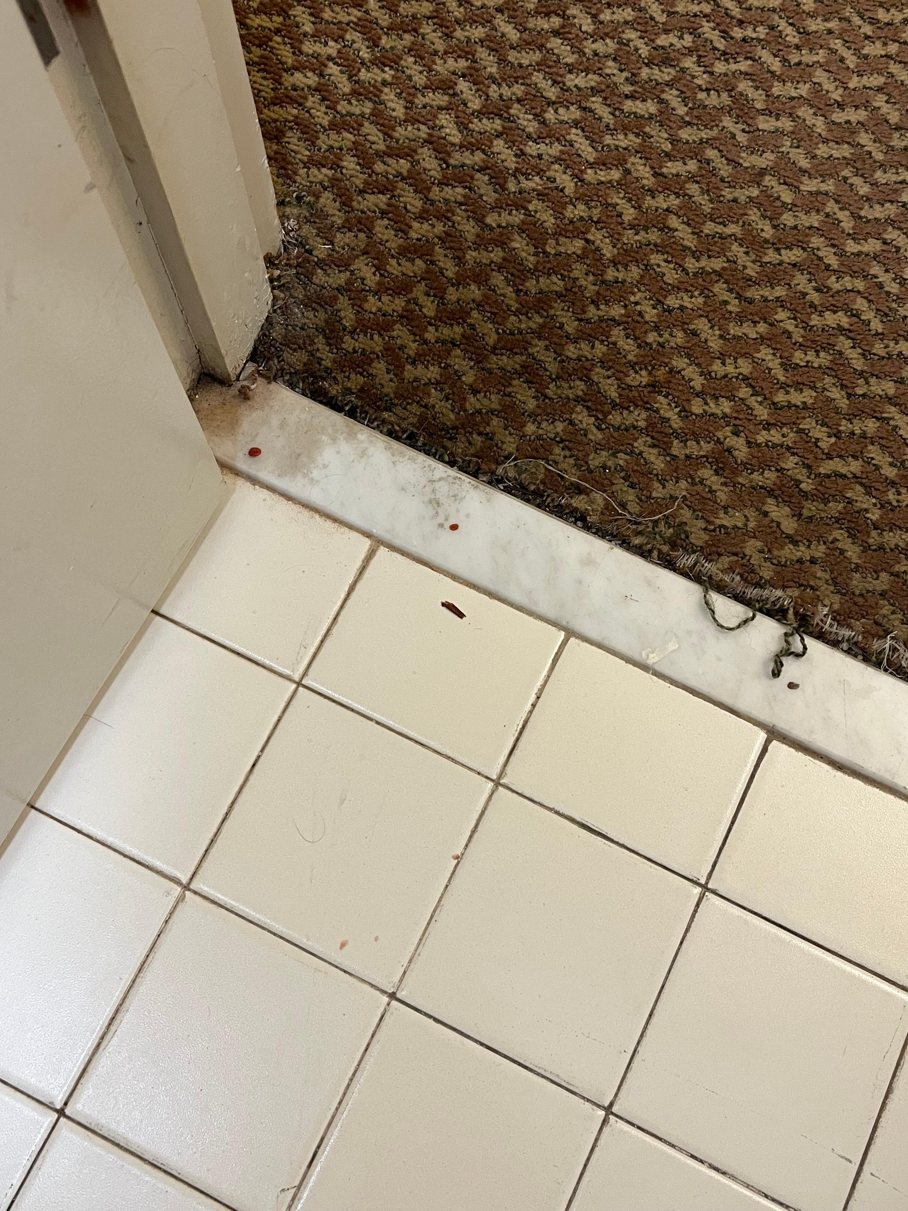 Red stains on the tiles and carpet is dirty. 