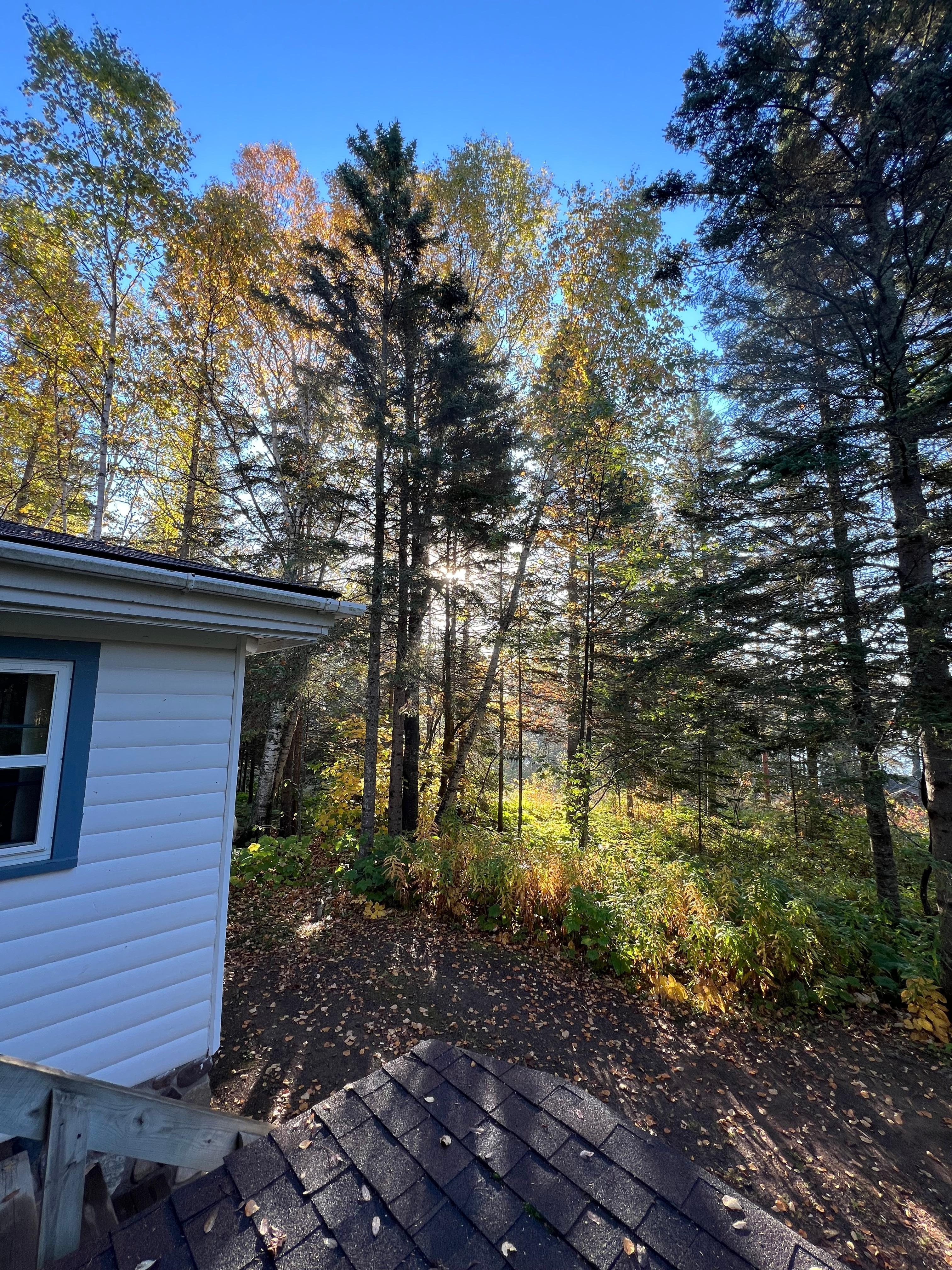 On the deck enjoying the morning sunshine! 