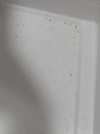 Dirty shower