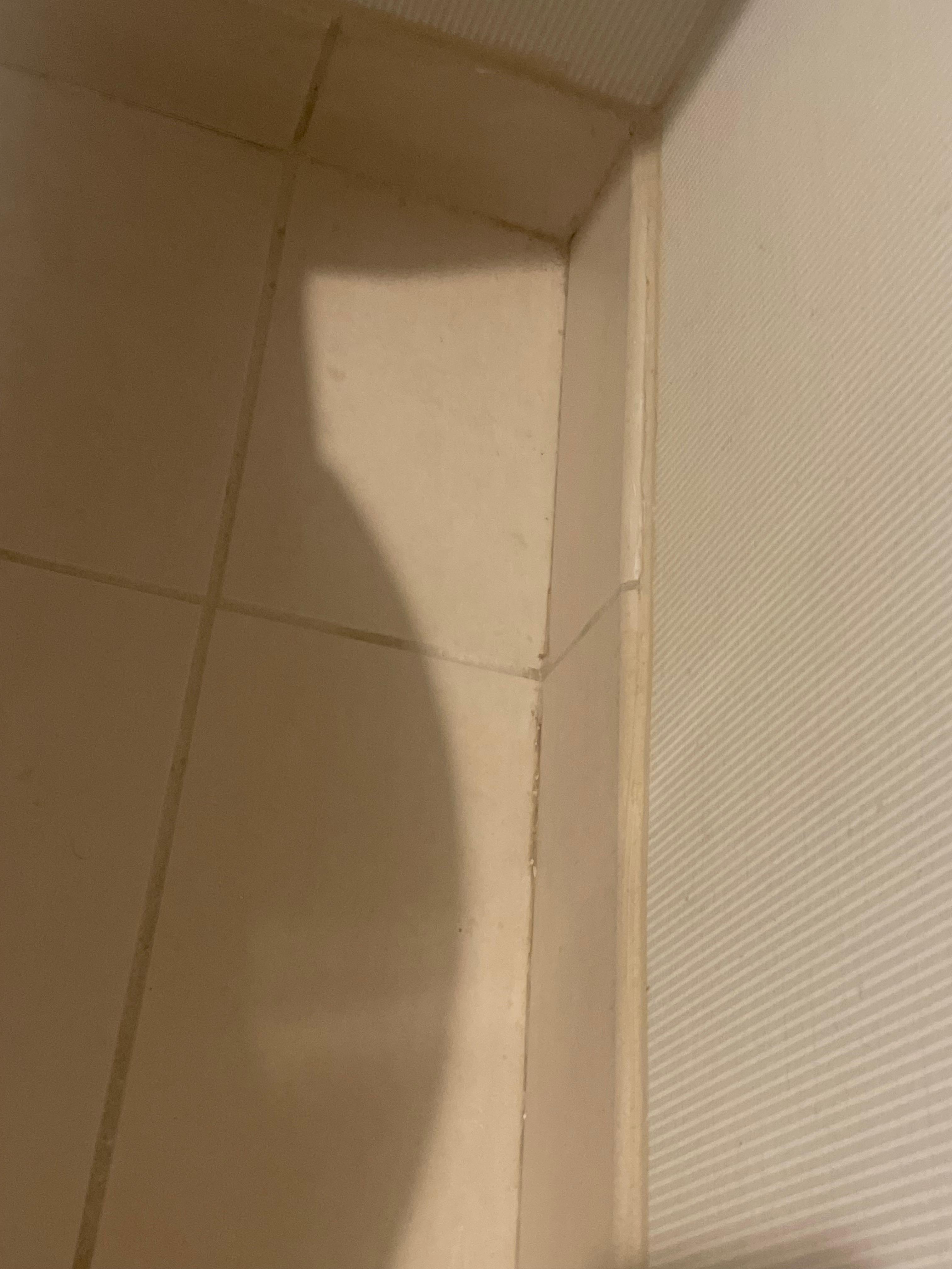 Dirt and grime on floors 