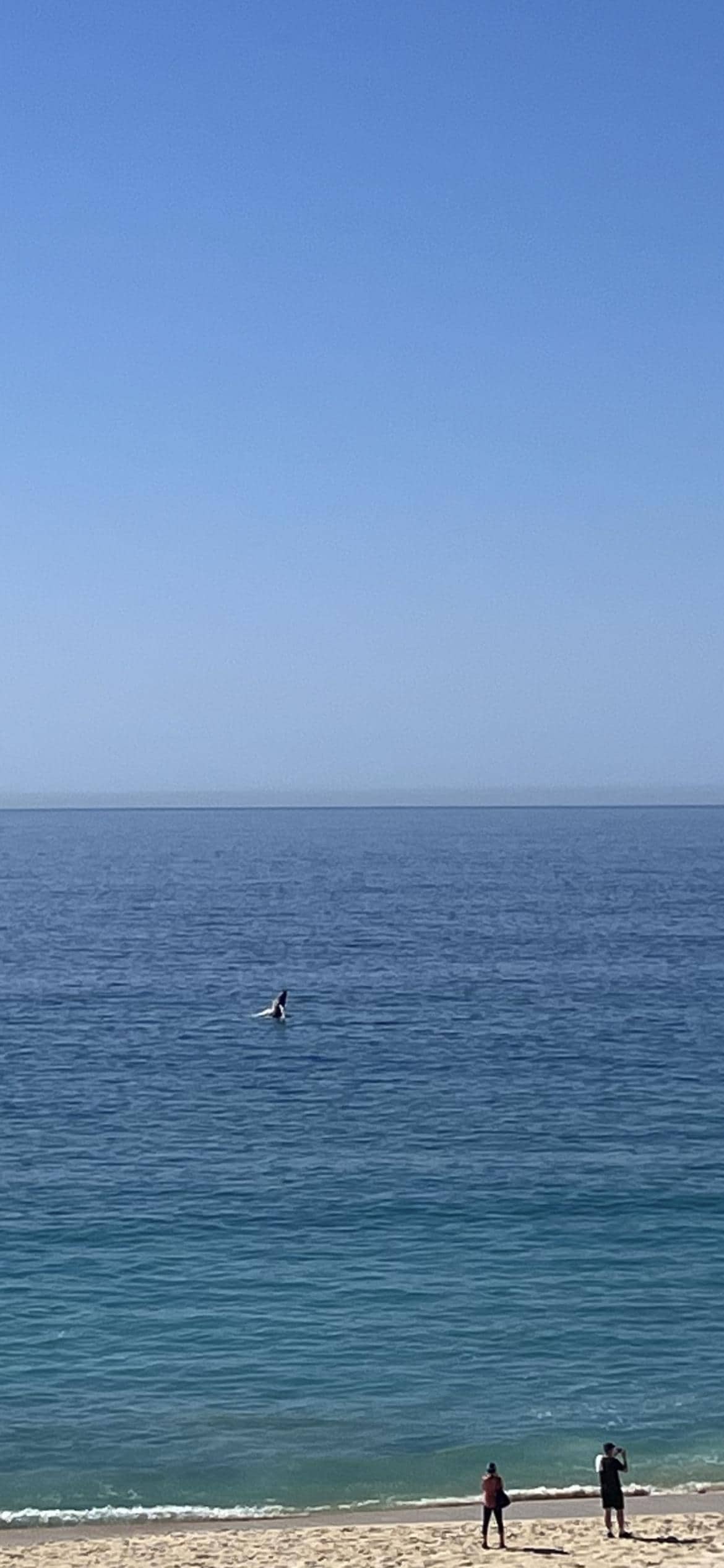 Taken from the living room