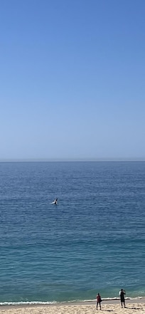 Taken from the living room