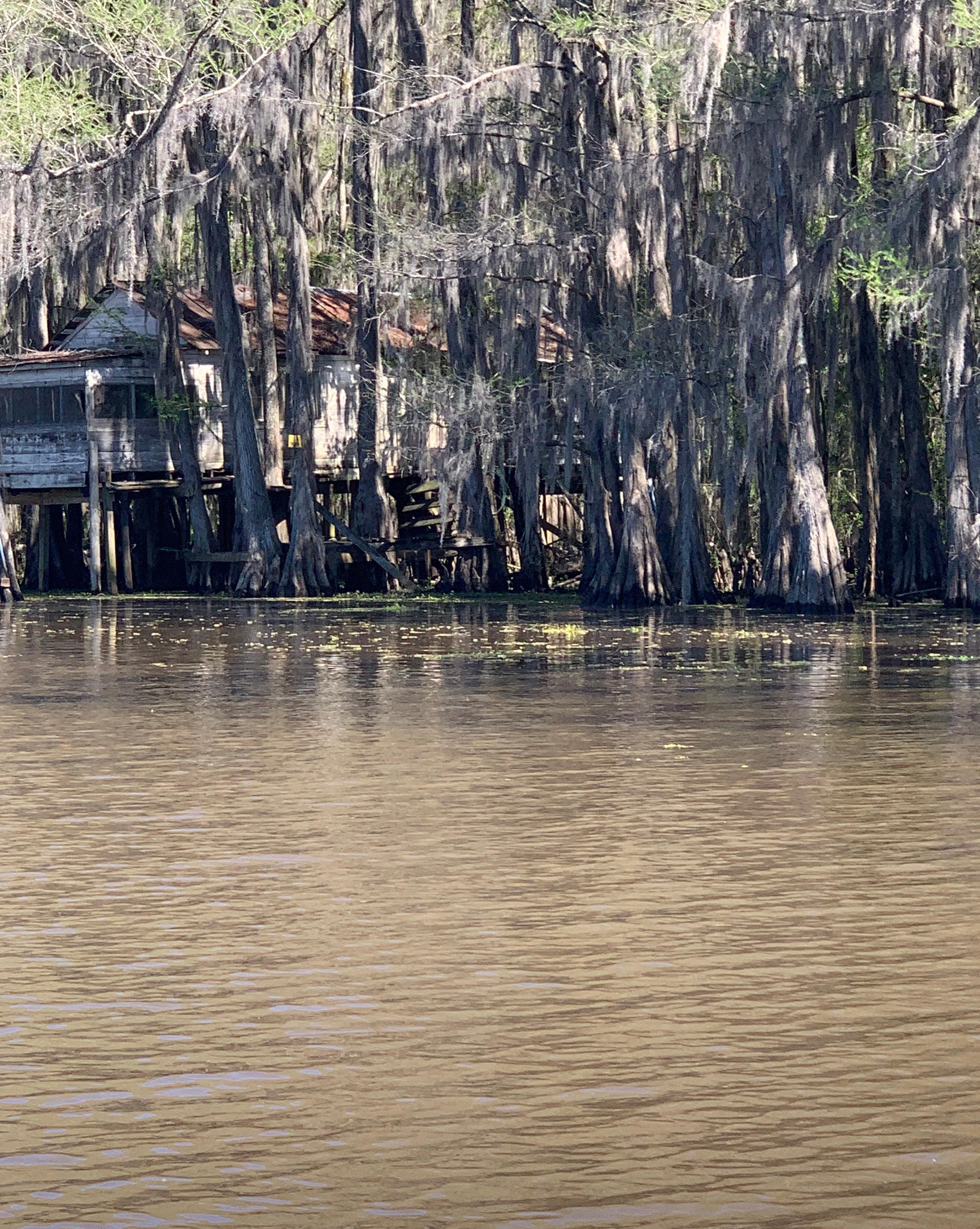 A different shot of the sam