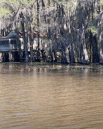 A different shot of the sam