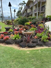 The beautiful complex grounds