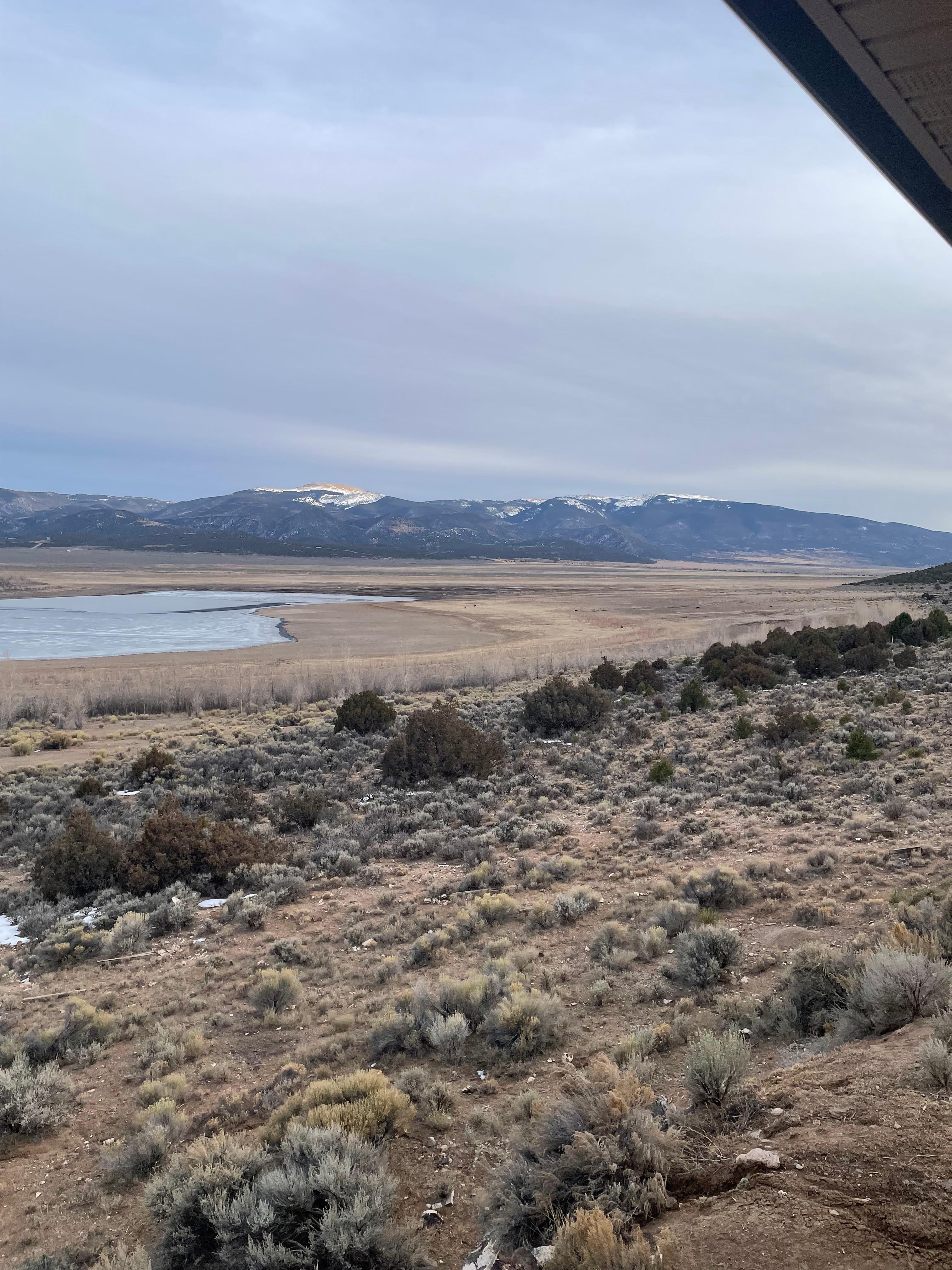 Wild horses from the back deck.