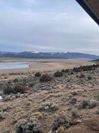 Wild horses from the back deck.