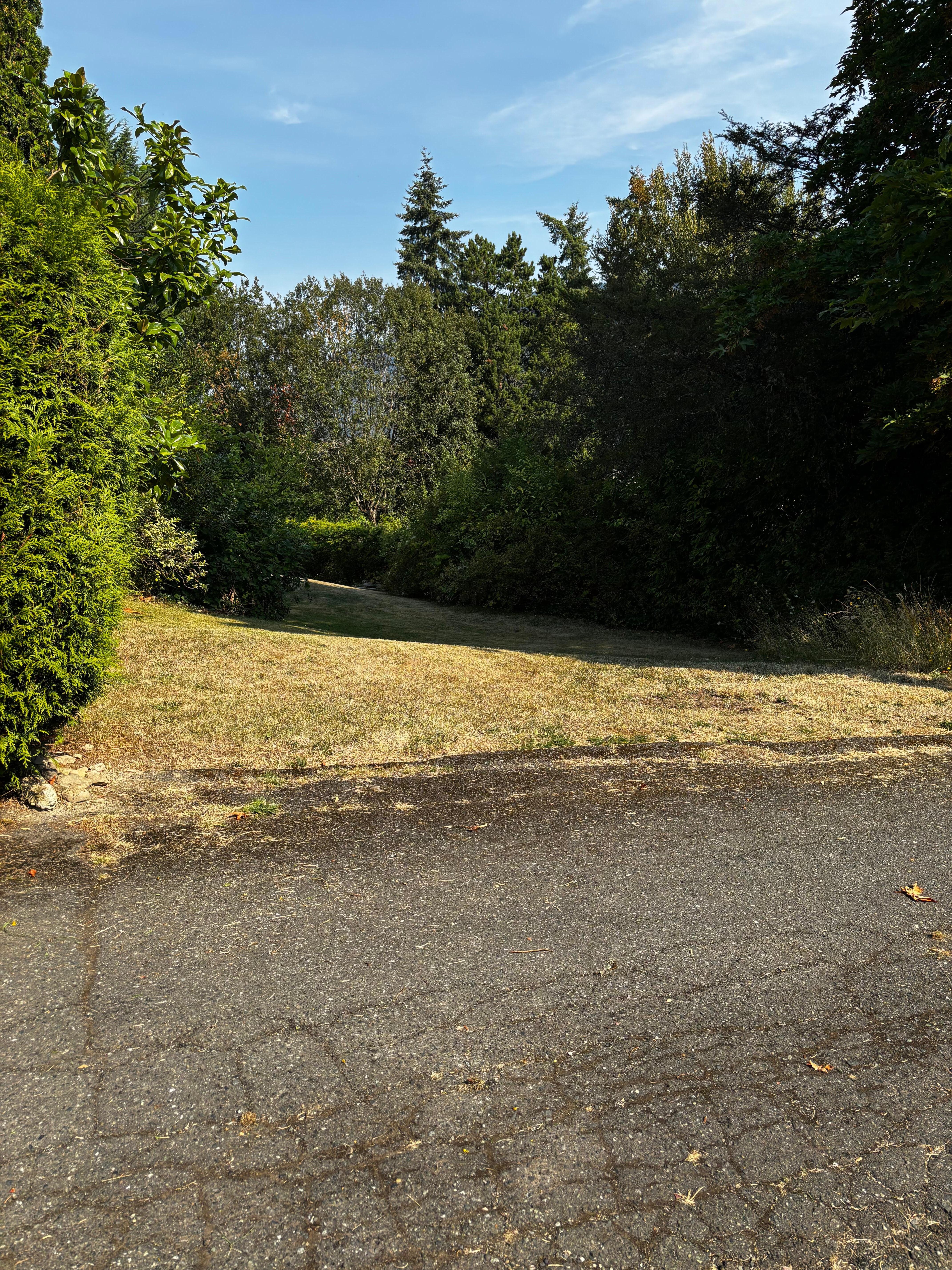 Path to the entrance of the suite 