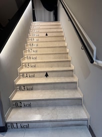 Stairs across from the elevator. We found it humorous even at 2am