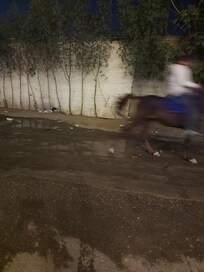 ピラミッドビューではなく壁ビュー