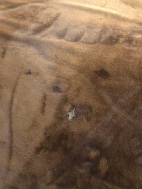 Condition of blanket on the bed
