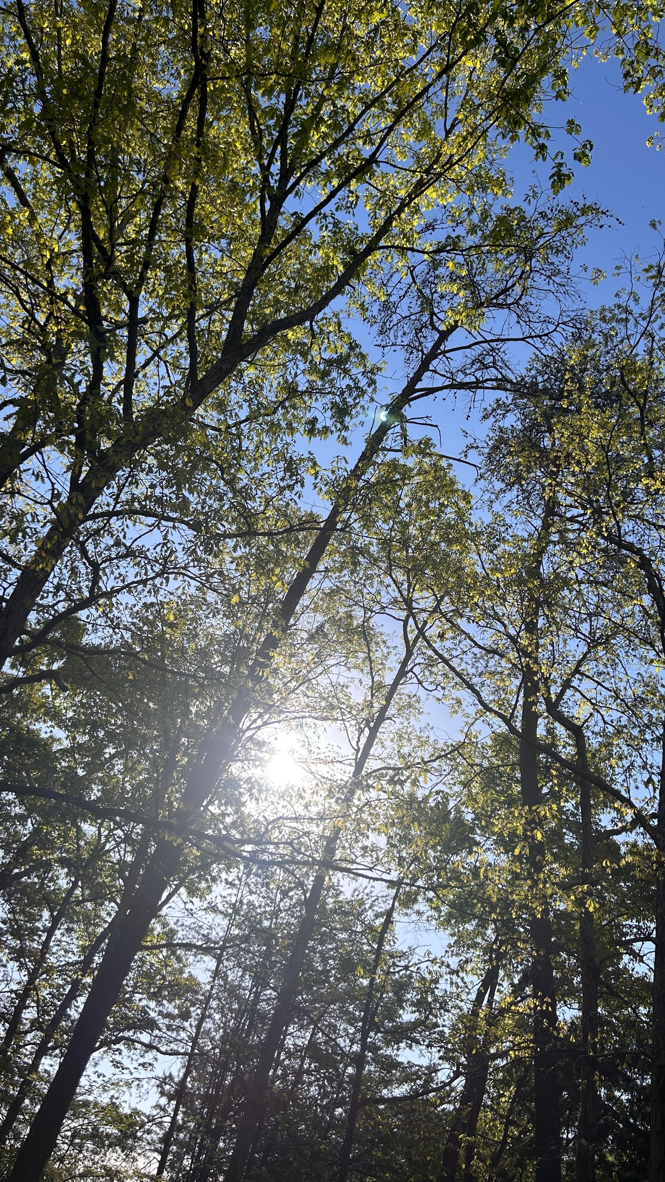 The view from the hot tub 