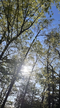 The view from the hot tub