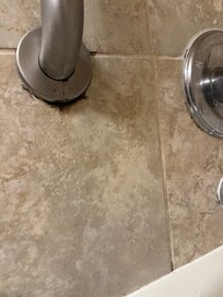 Bath needs cleaning of mold