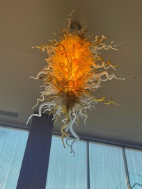 The chandelier is a Chihuly!