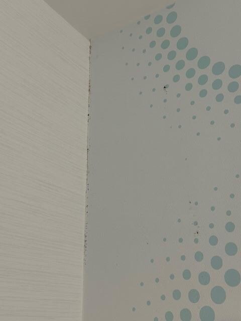 Black mold in bathroom