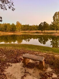 Pond out front