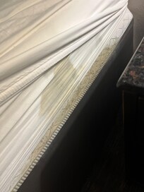 Mattresses in all rooms were broken down, no padding and stained