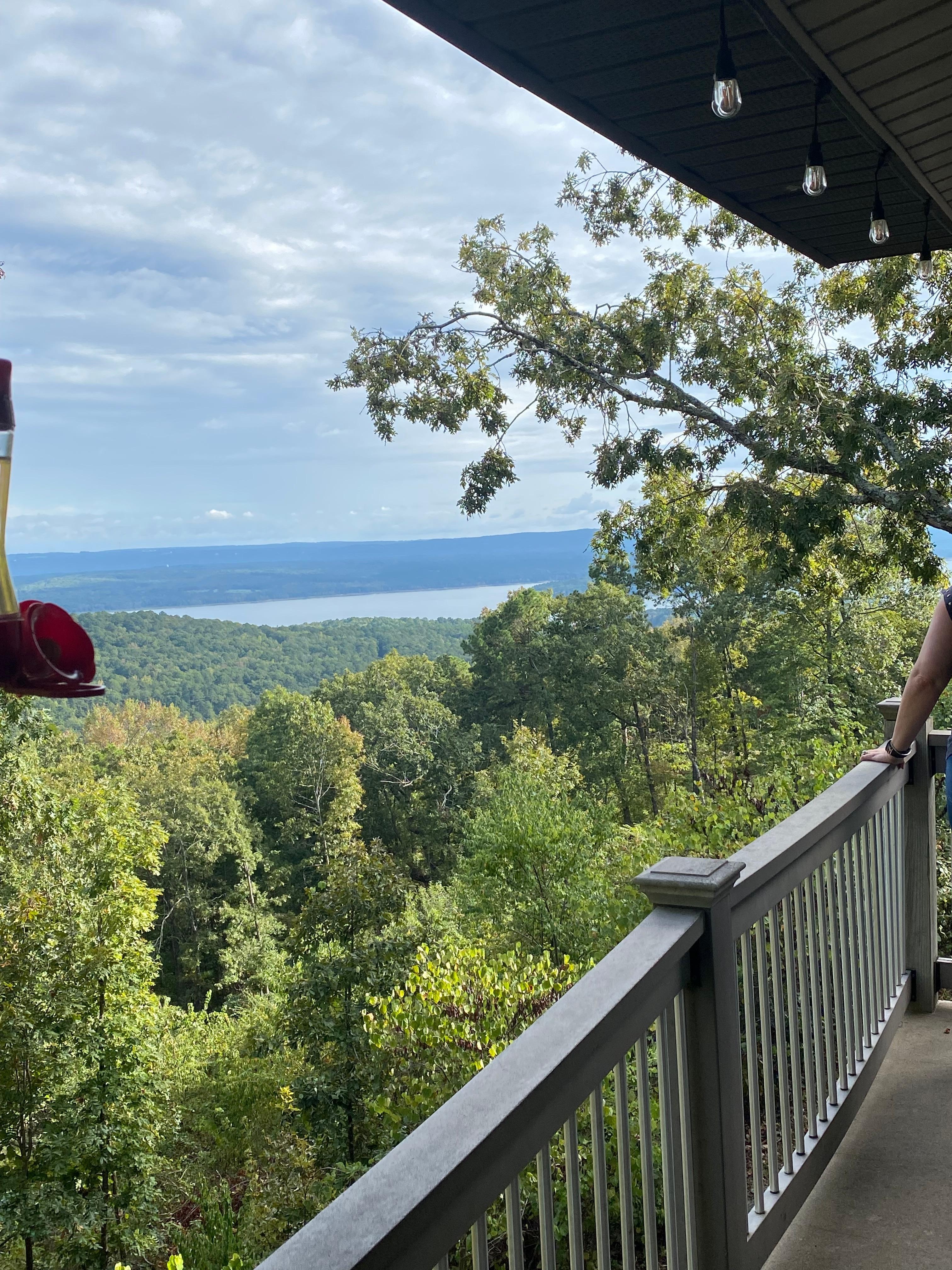 Morning in the deck.