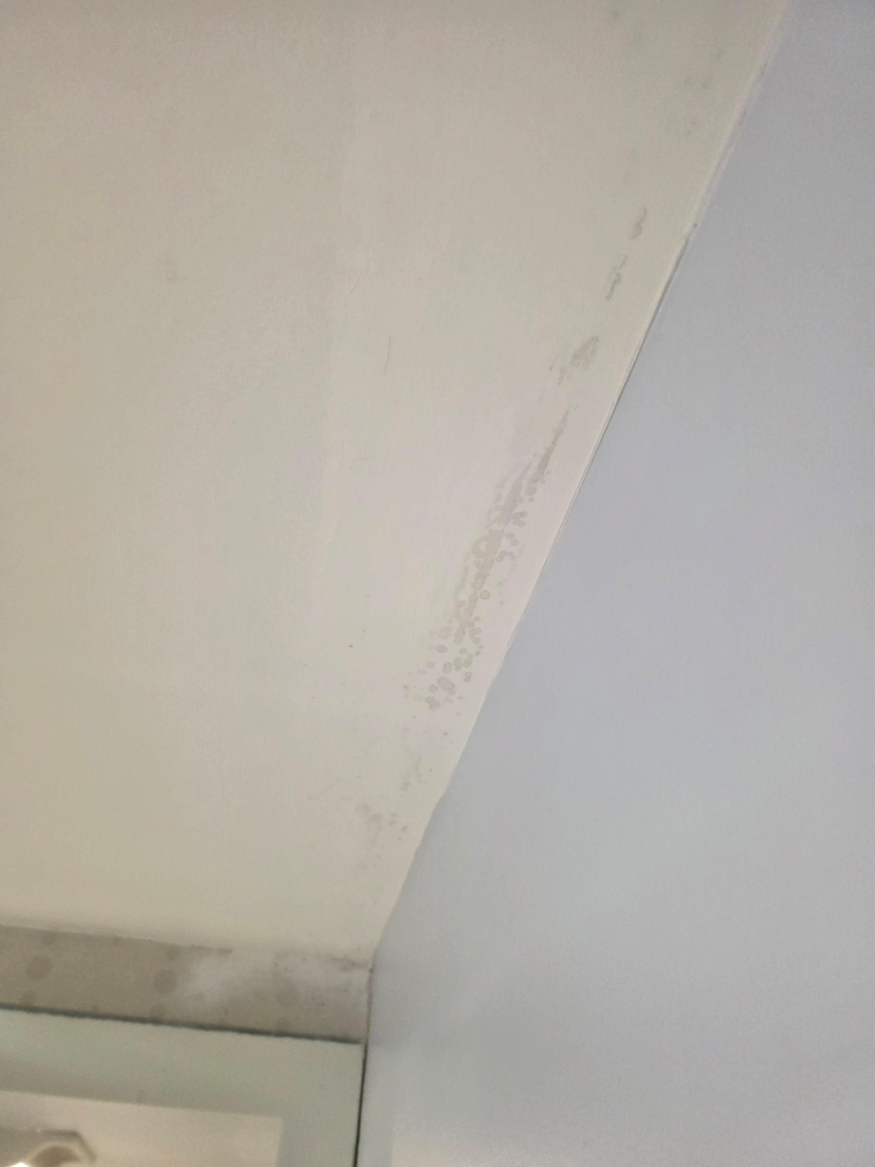 Inside the shower, the lower corners were filled with grime and a brown, slimy residue that was truly unpleasant.