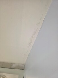 Inside the shower, the lower corners were filled with grime and a brown, slimy residue that was truly unpleasant.