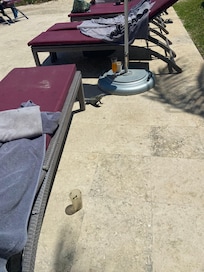 This little guy was so kind to come visit us even if the old guy next to us ran away scared from him.