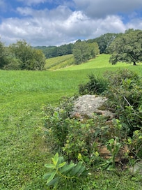 Looking over the hills from one apple orchard to another.