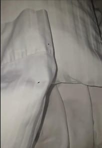 CHINCHES EN INTERIOR DE ALMOHADAS Y POR FUERA Y HABIA CHINCHES PEQUEÑAS TAMBIEN