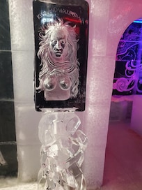 From the Magic Ice Bar near Fosshotel Baron