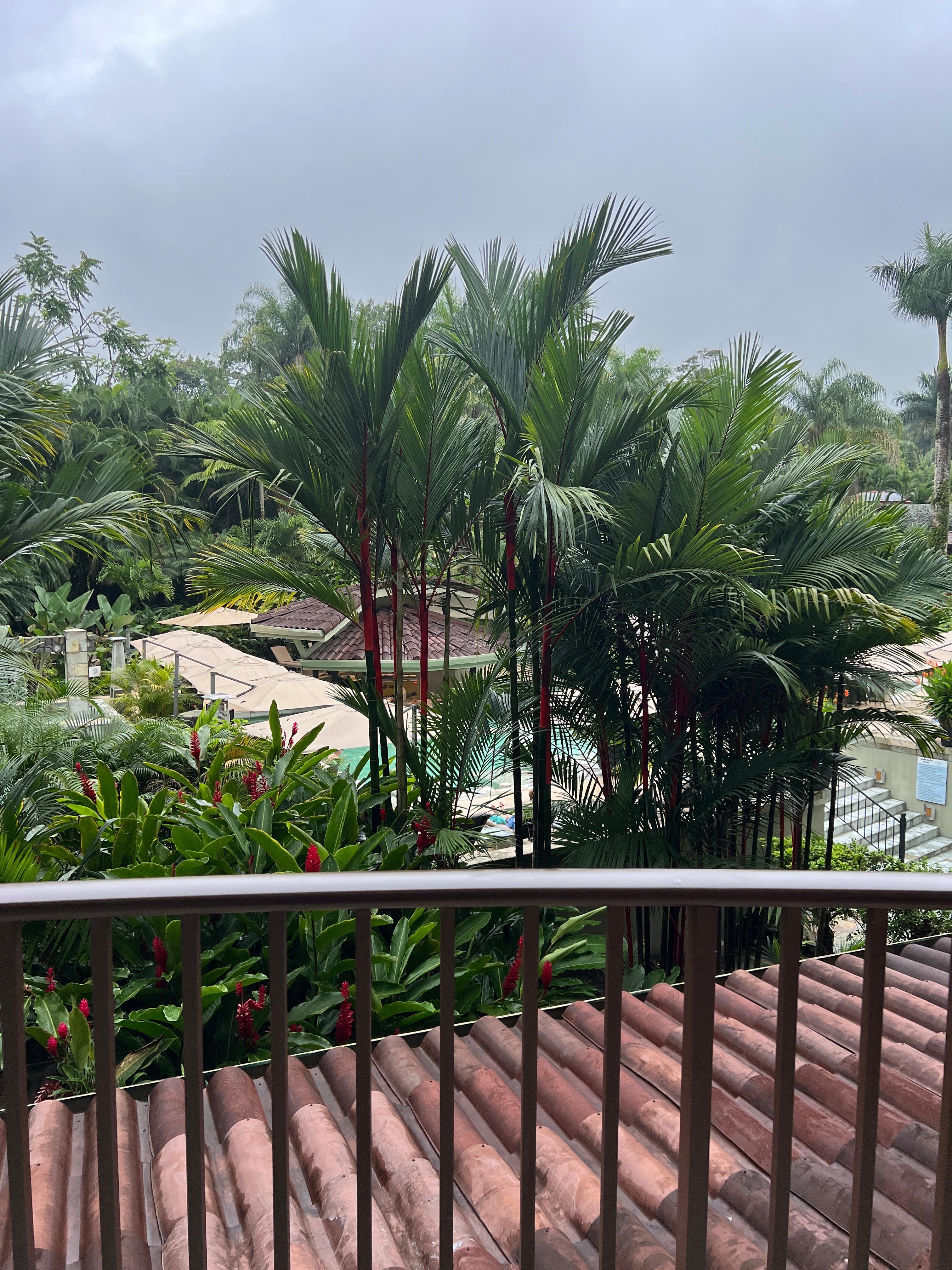 View from 3rd floor room