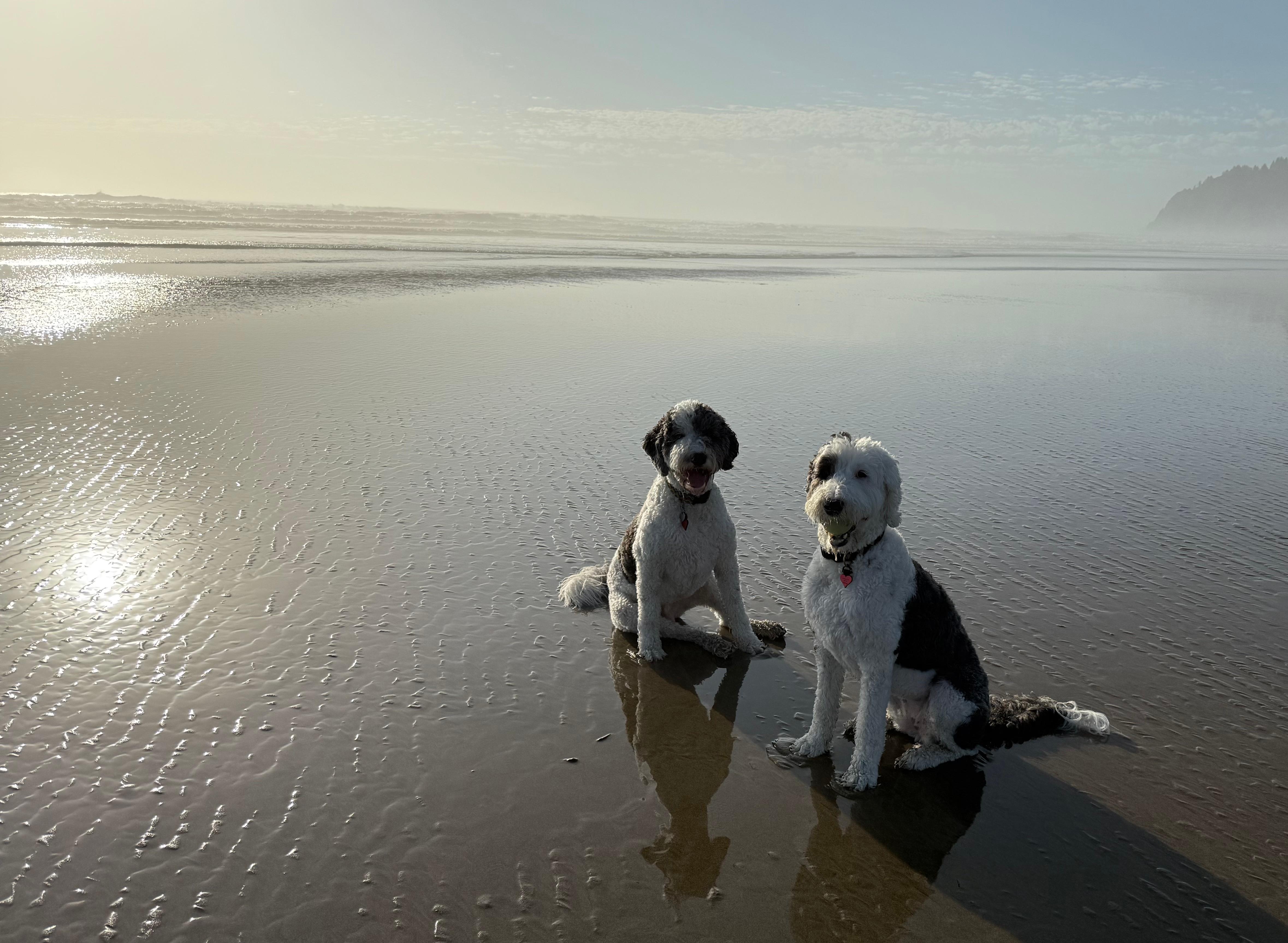 Early morning at the beach.