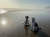 Early morning at the beach.