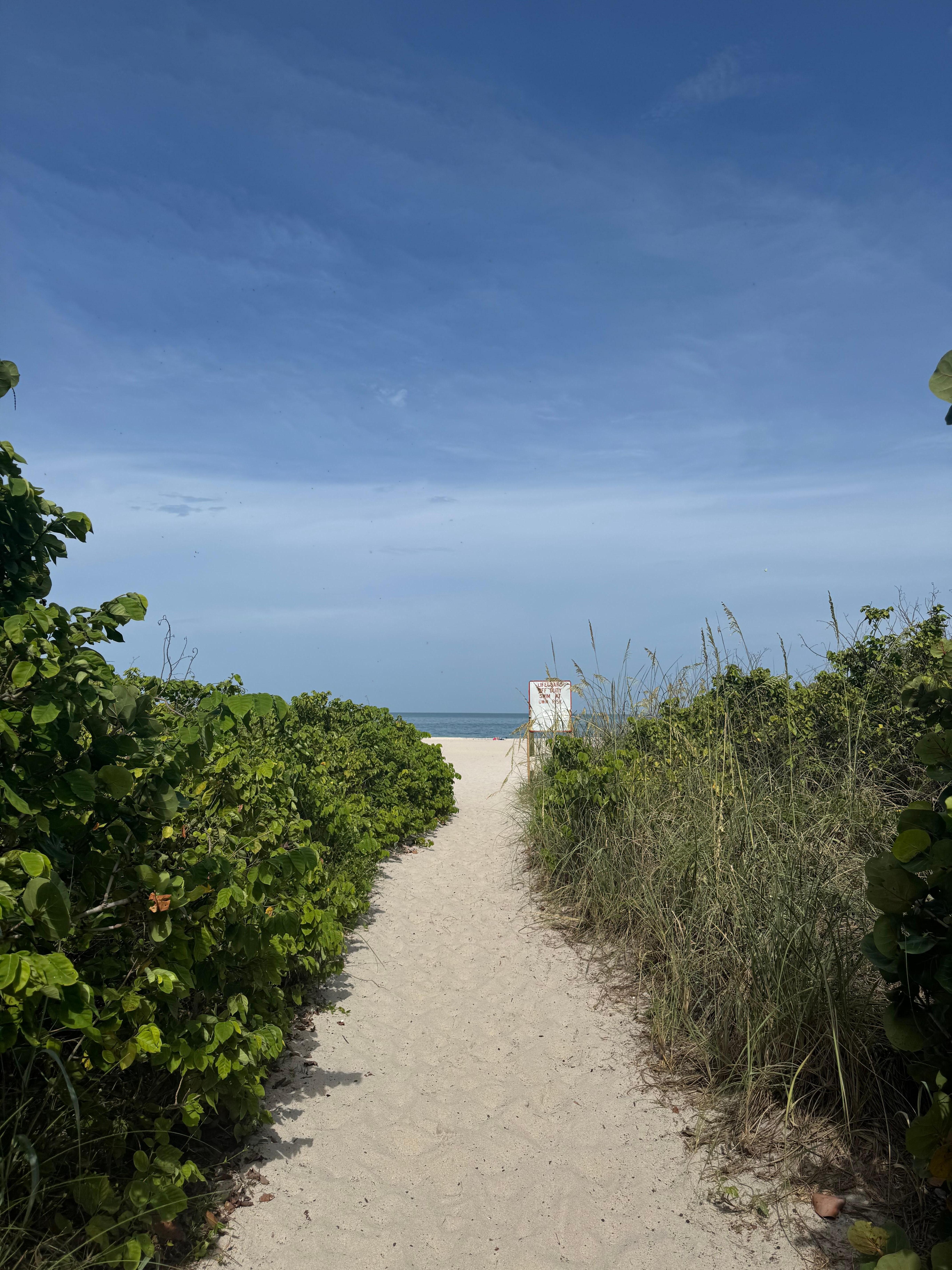 Nearby South Beach Park