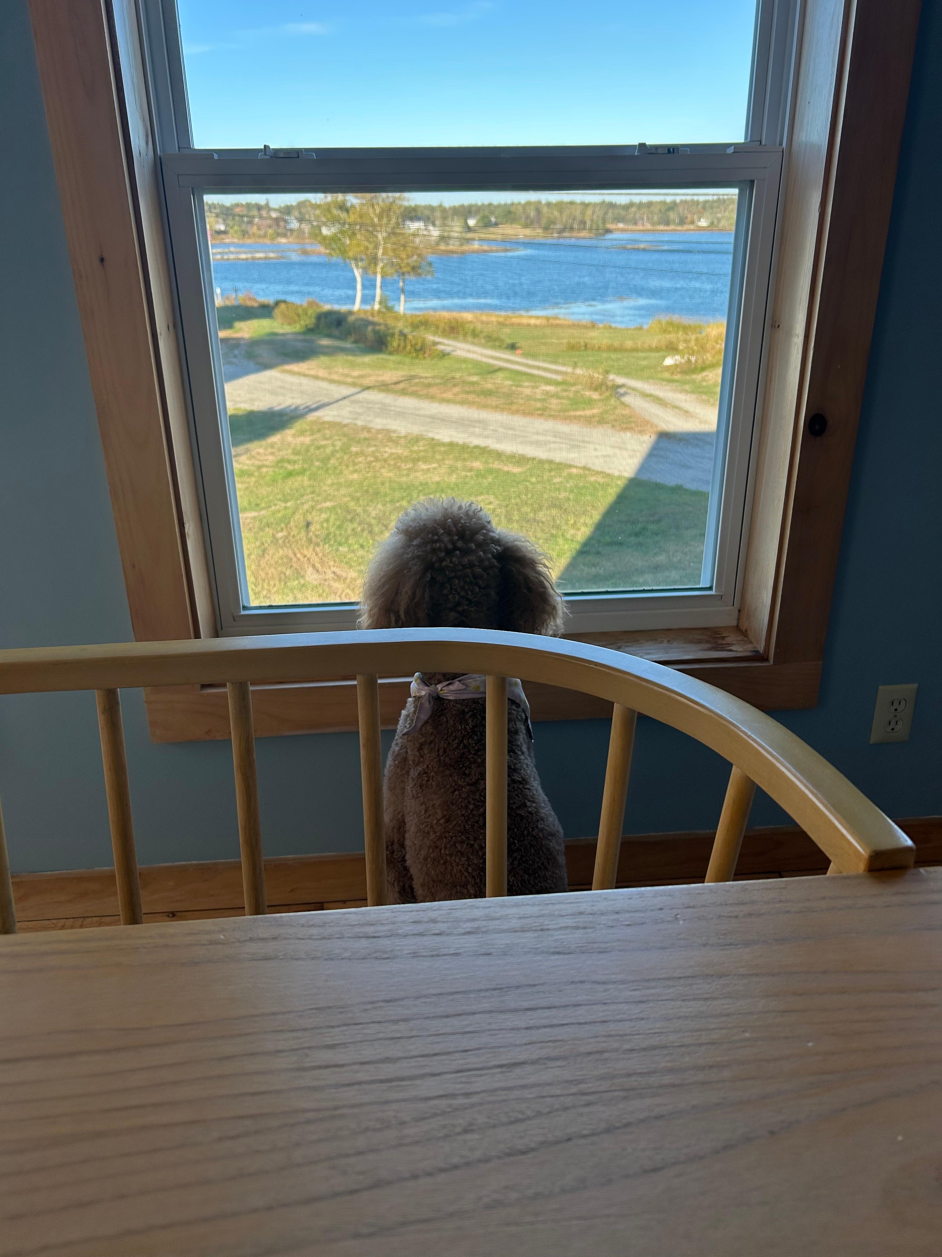 She loved the views.