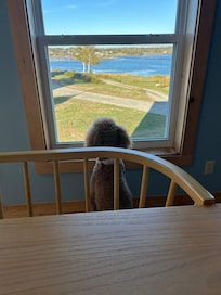She loved the views.