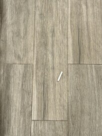 There was a lot of dust, hair and some garbage on the floor.