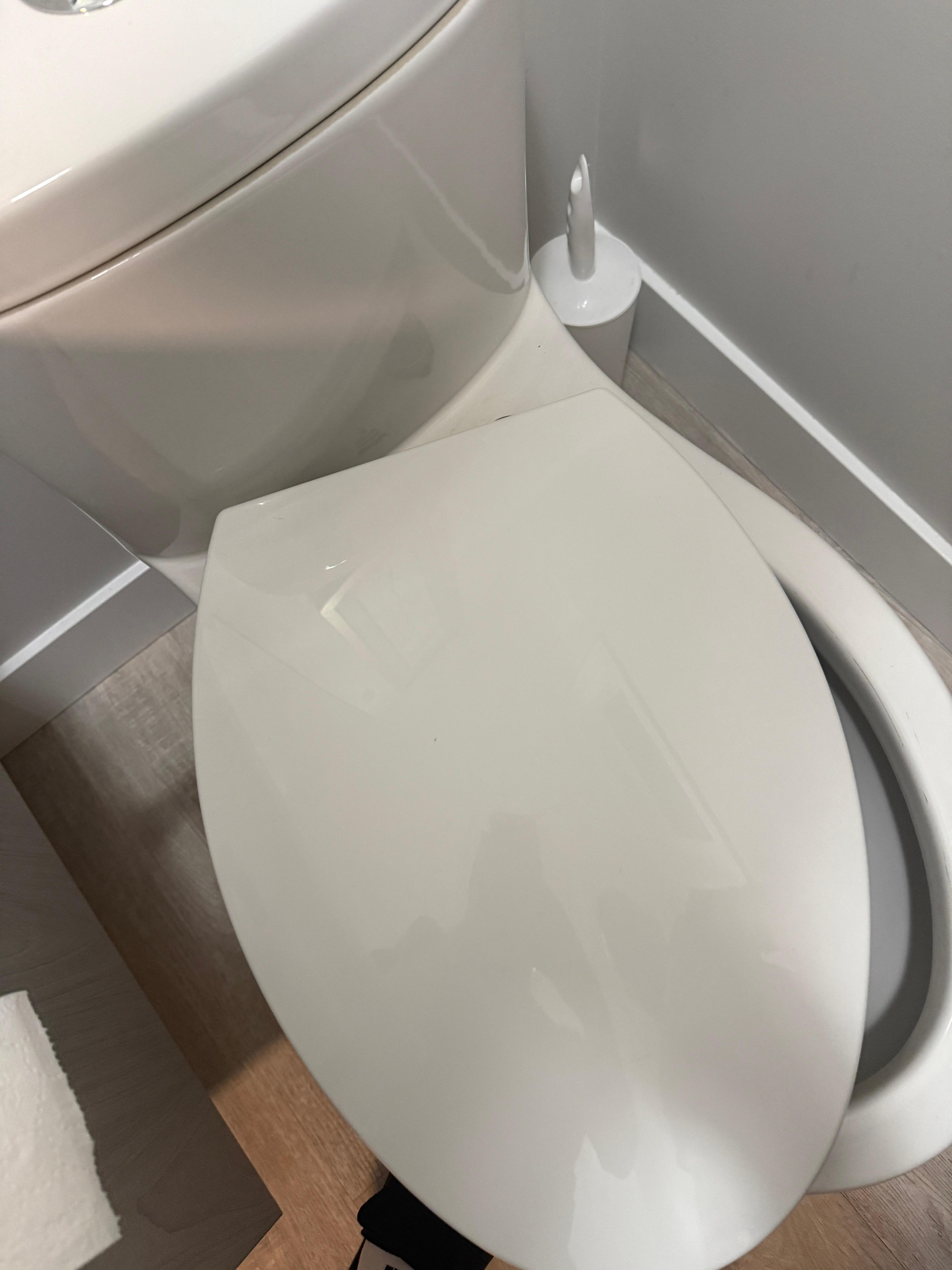 Toilets disgusting and broken seat