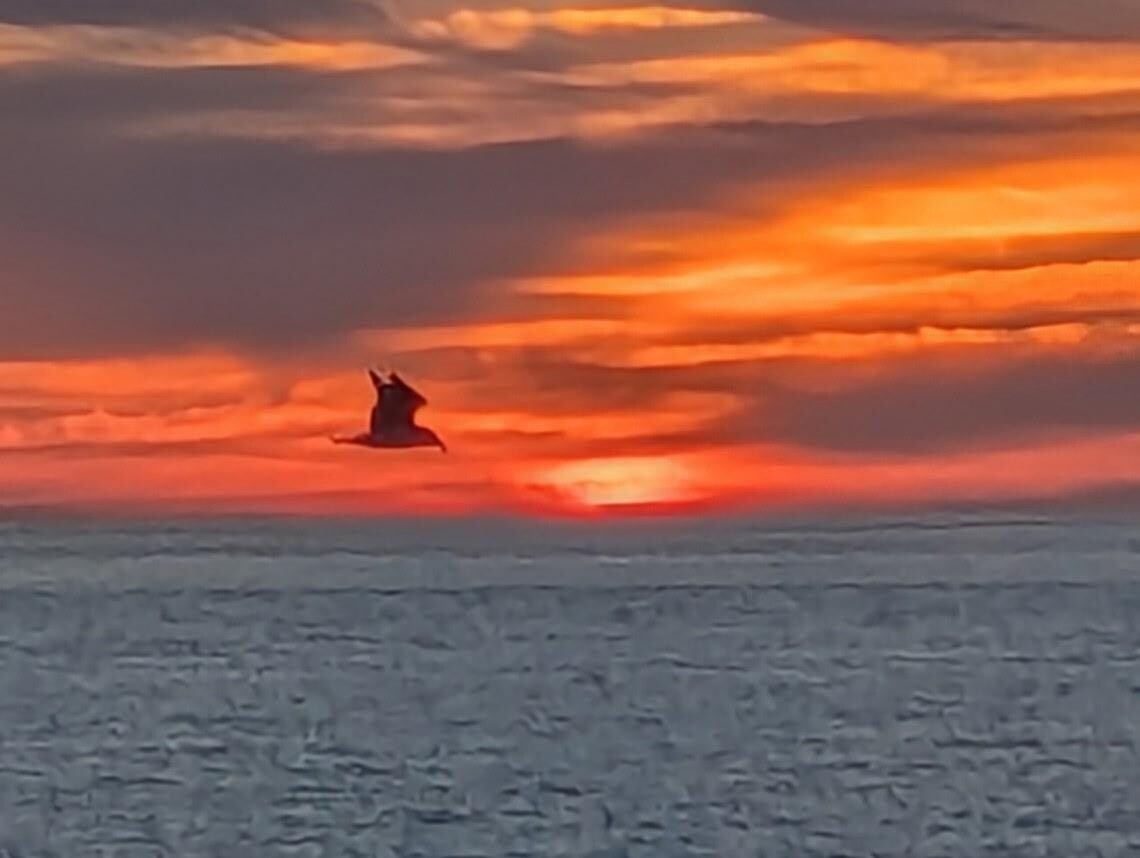 Sunset from the balcony!