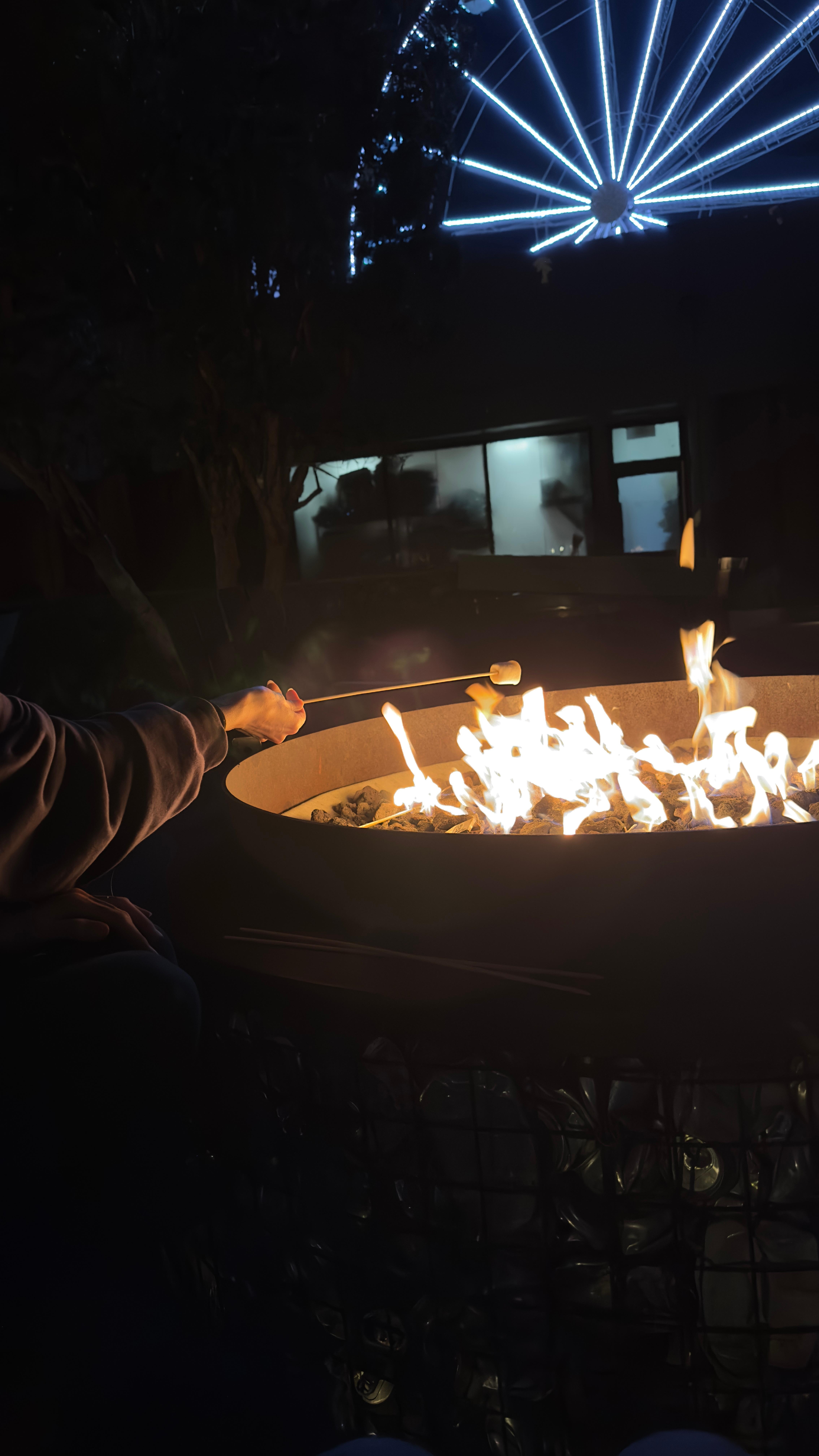 S’mores pit and view