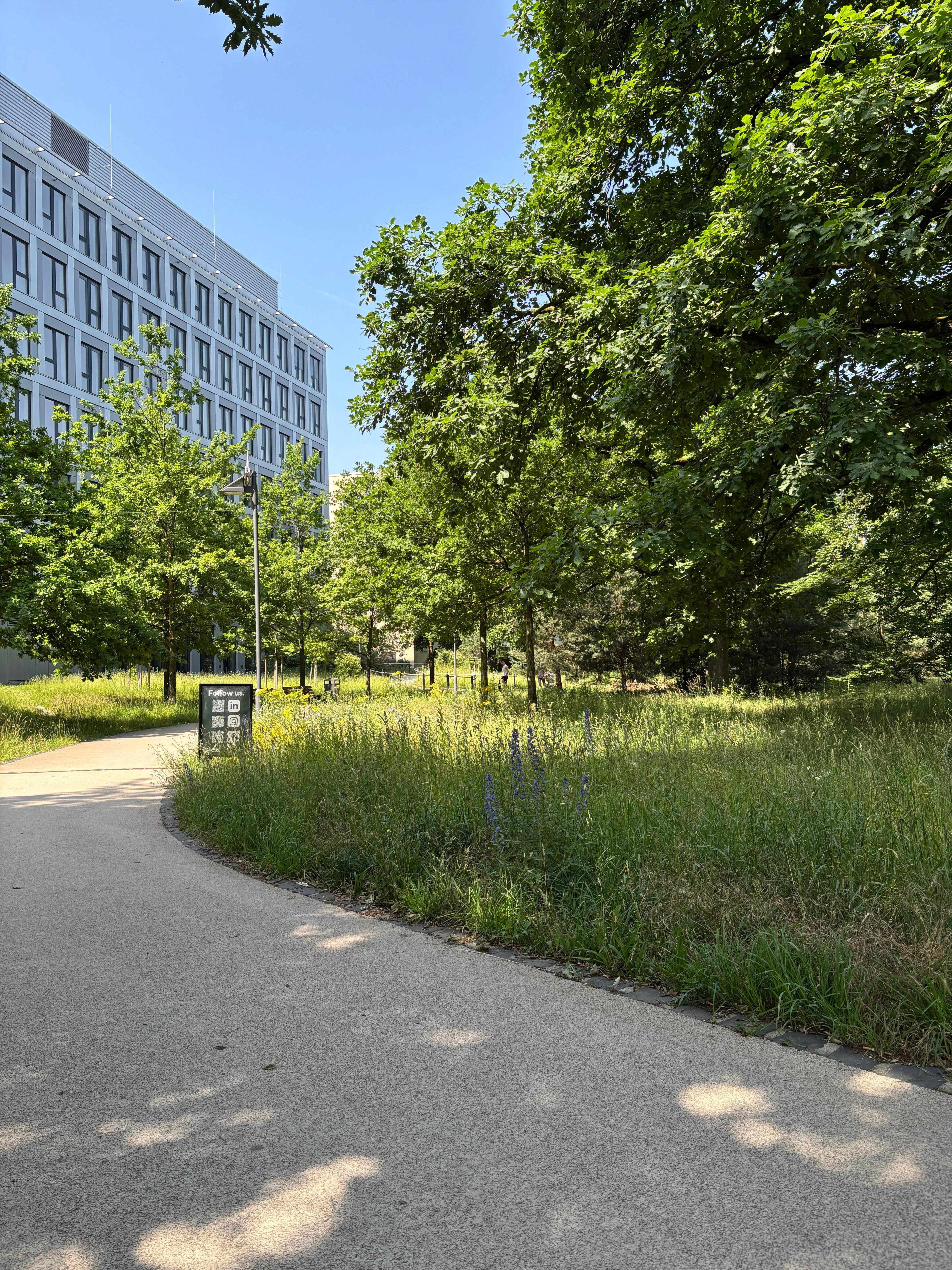 Park nearby