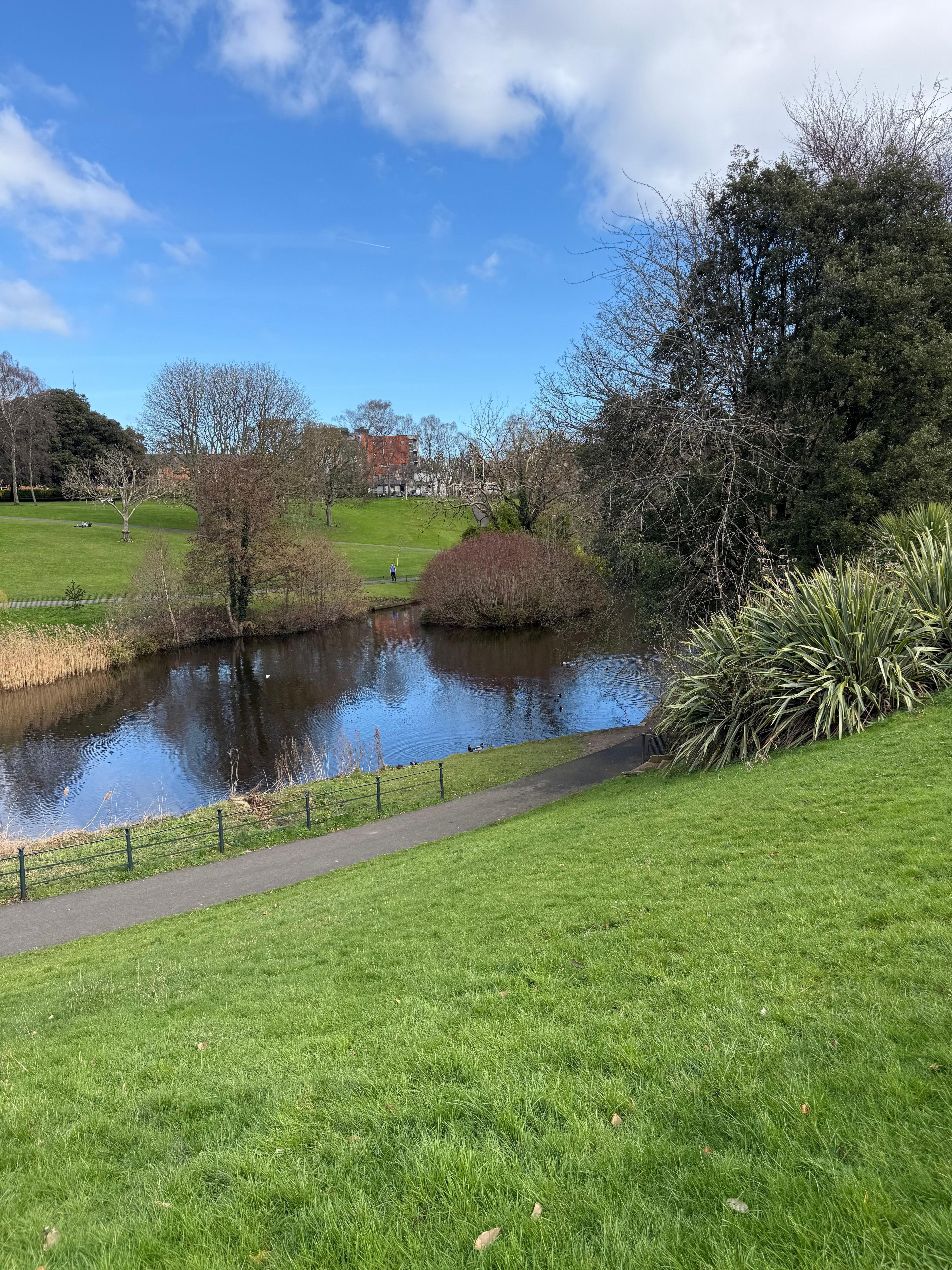 One of many ponds in Phoenix Park