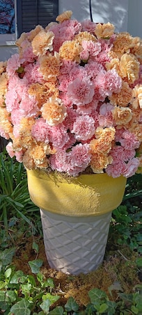 Flower decoration in front of the hotel