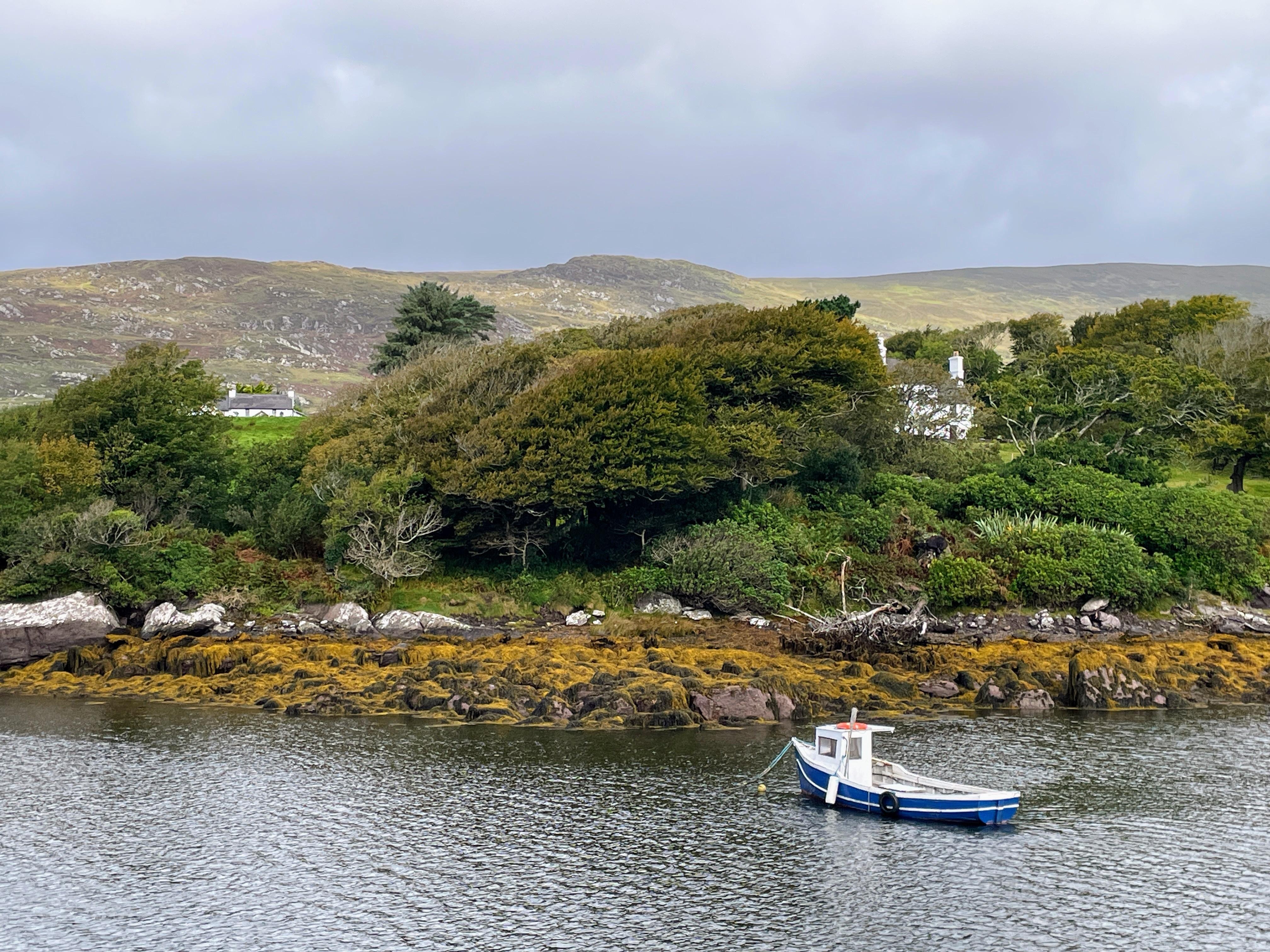White house to left of photo where the flat is situated on the upper floor.