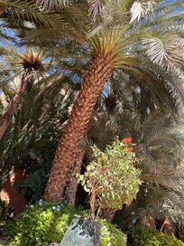 Beautiful gardens