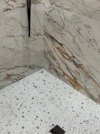 Mouse/ poop in showers upon check in