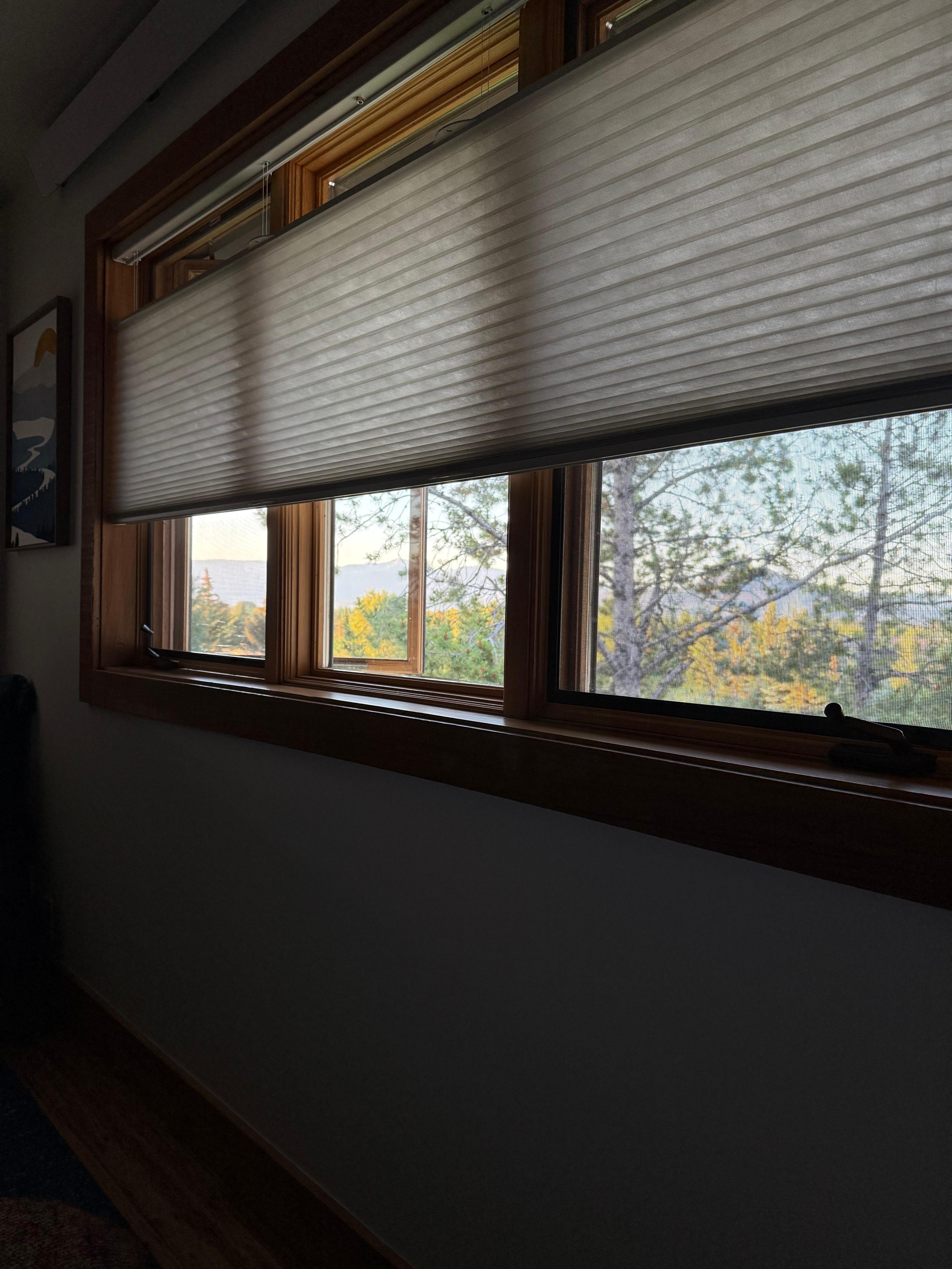 Morning window view from one of the bedrooms