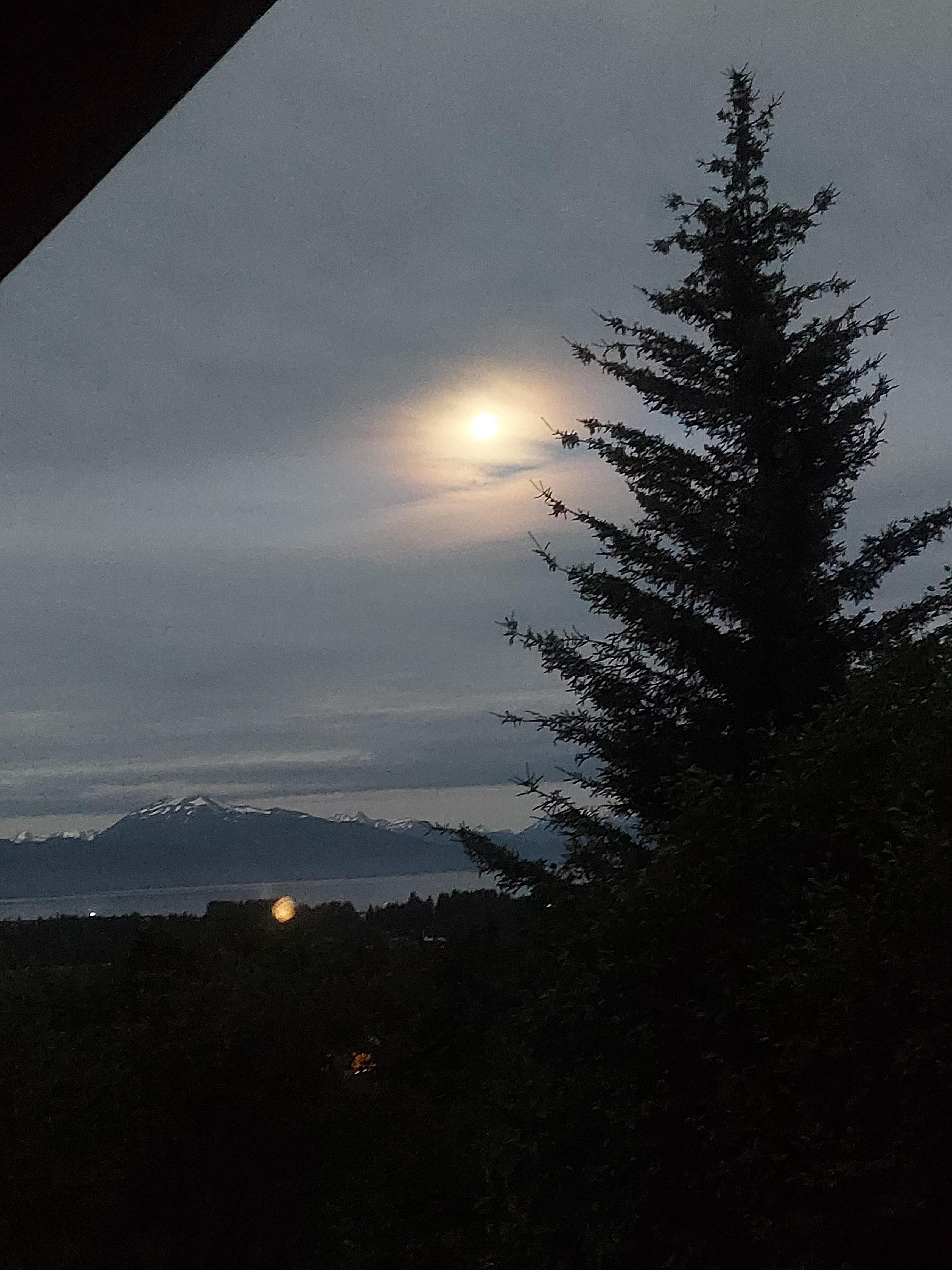 The views are spectacular 